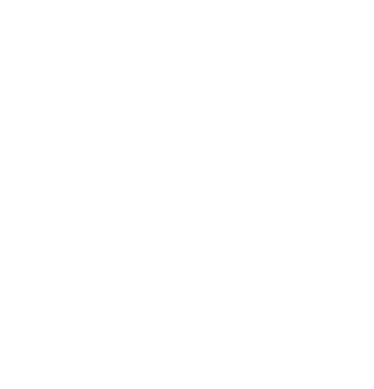 Ravbyte Technologies